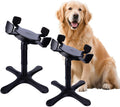 Elevated Adjustable Dog Bowl Feeding Stand - 3 Heights, Tilted Design