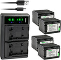 Kastar 4-Pack VW-VBK360 Battery and LTD2 USB Charger - Reliable Power
