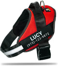 Personalized No-Pull Dog Harness with Name Patch - Reflective, Padded