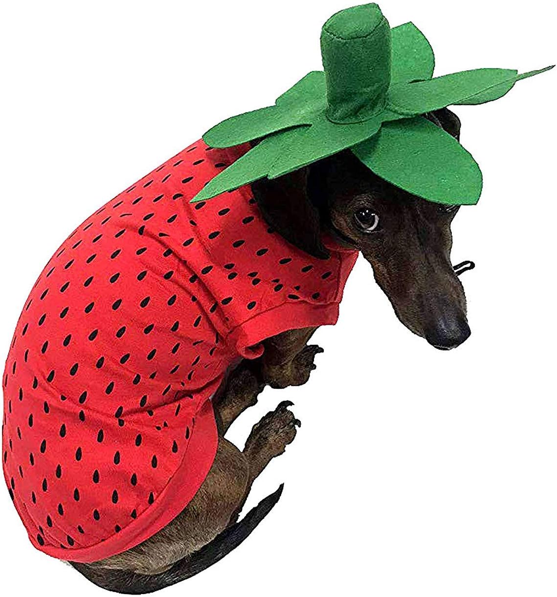 Midlee Strawberry Halloween Dog Costume for X-Large Dogs