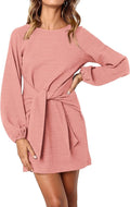 PRETTYGARDEN Womens Fall Lantern Sleeve Short Dress - Tie (Style 7SWP)