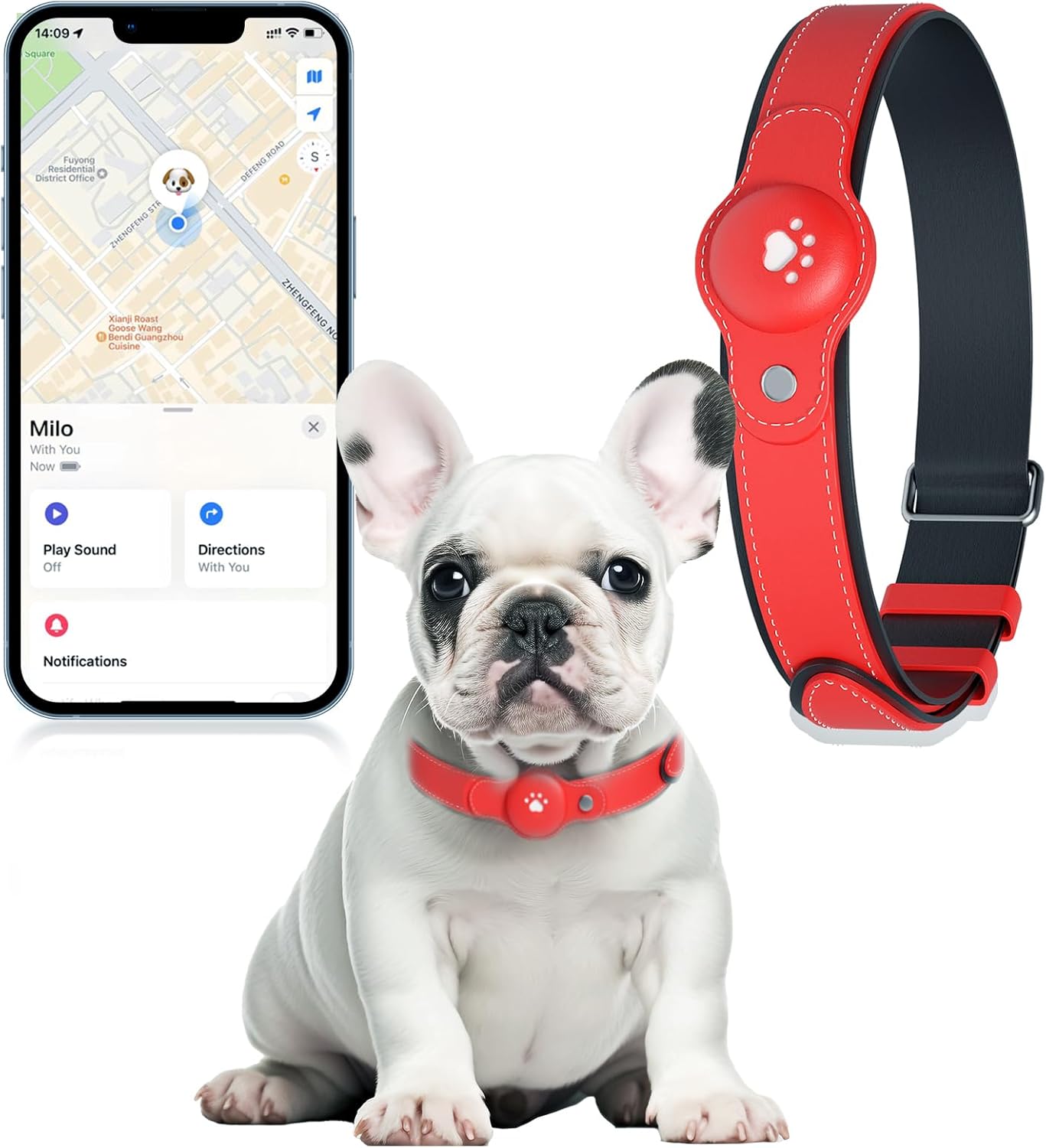 2-in-1 GPS Tracker for Dogs: Smart Collar with Real-Time Location