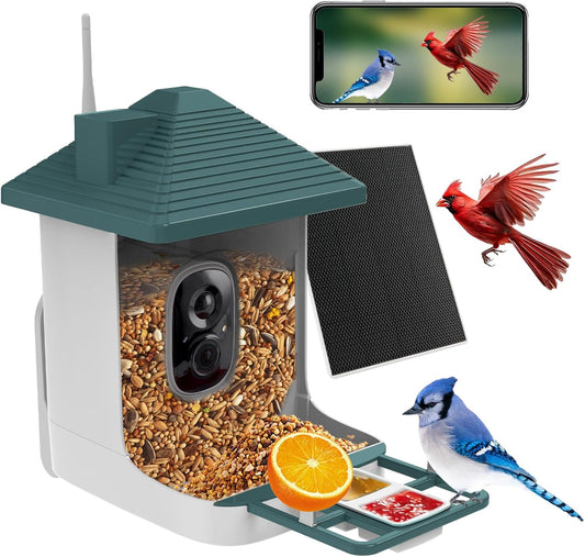 2K Bird Cam with AI ID & Solar Power