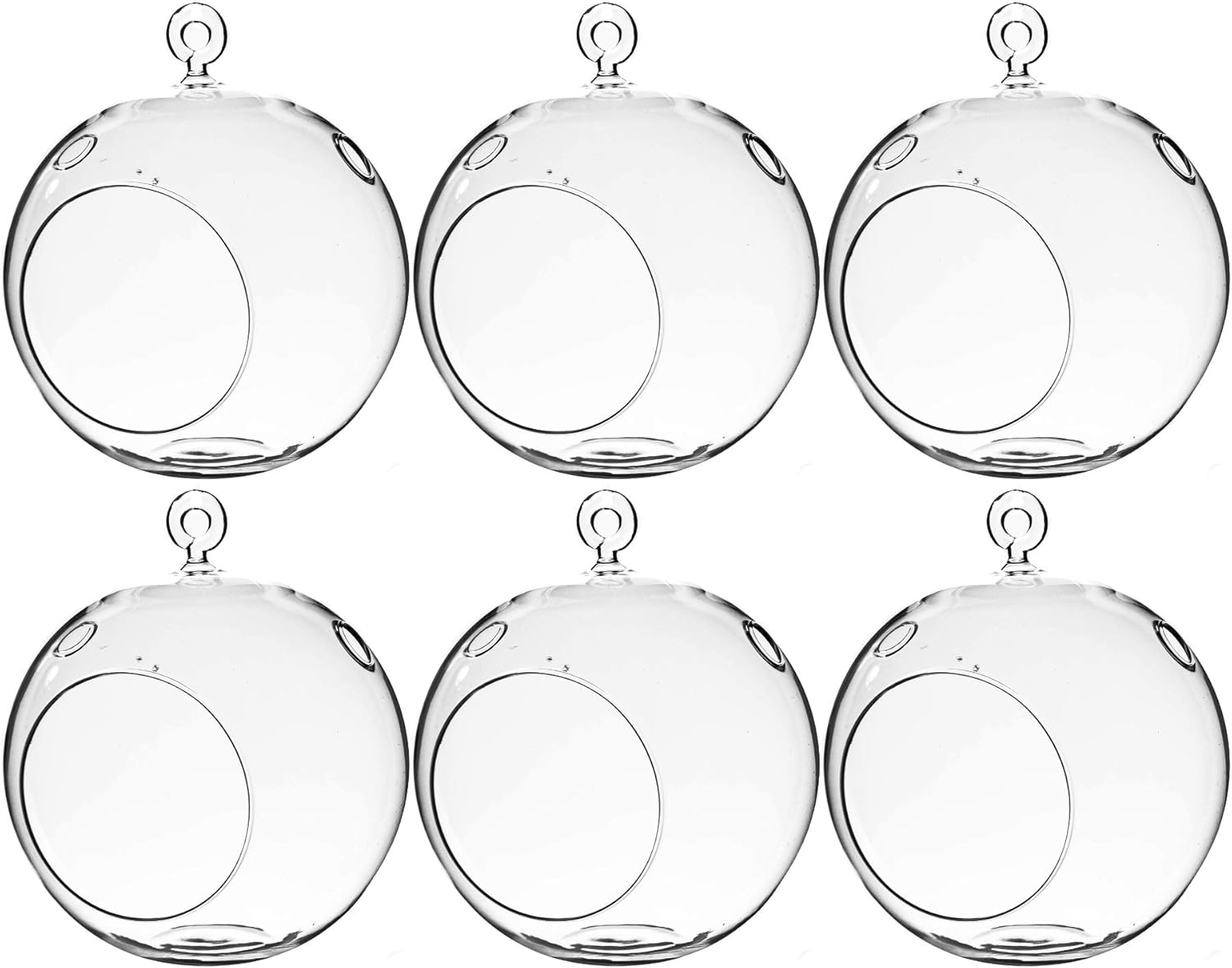 WGV Hanging Terrarium Globe for DIY Air Succulent Planter