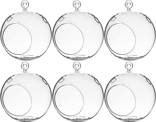 WGV Hanging Terrarium Globe for DIY Air Succulent Planter