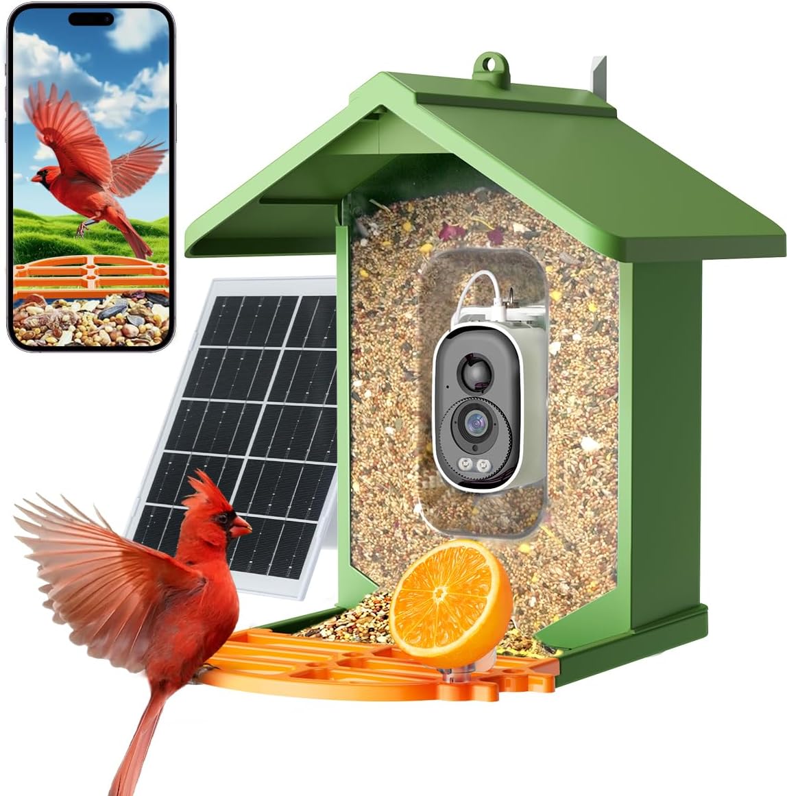 Bird Feeder with Camera for Stunning 2.5K HD Live Video