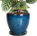 8 Inch Ceramic Planter Pot with Drainage and Saucer - Durable Blue
