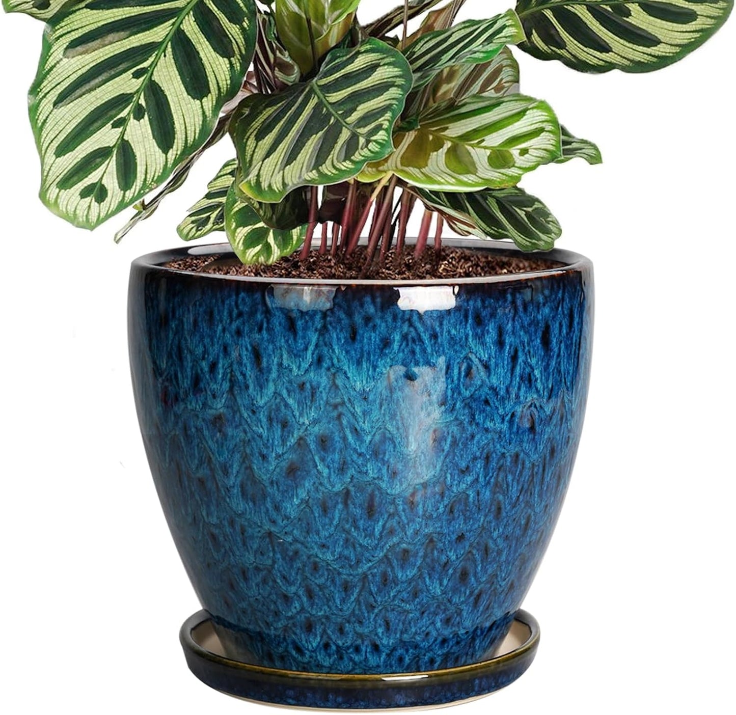 8 Inch Ceramic Planter Pot with Drainage Hole for Indoor Plants