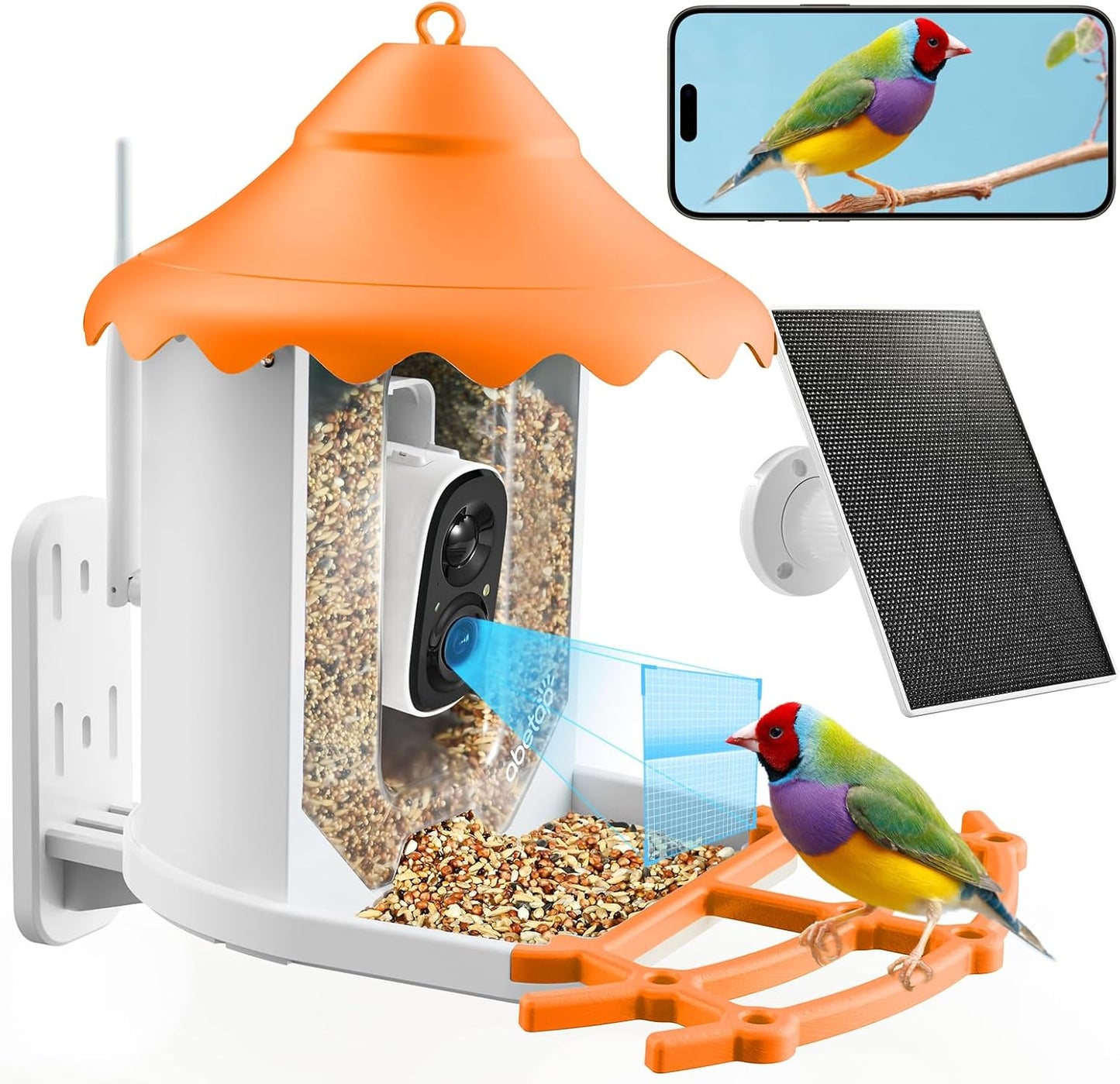 Bird Feeder Camera: Identify 11,000+ Species!