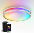 ASD LED 16 in Round Flush Mount Light - Smart RGBW Dimmable