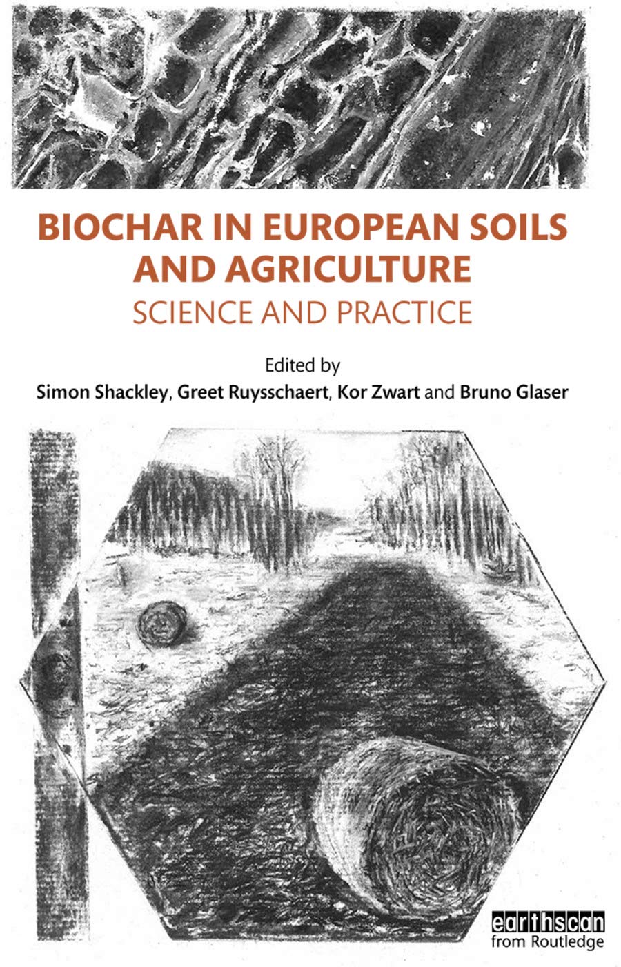 Biochar in European Soils and Agriculture: A Comprehensive Guide