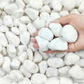 20 lbs White Stones for Landscaping 1-2 in Pebbles - Clean Plant