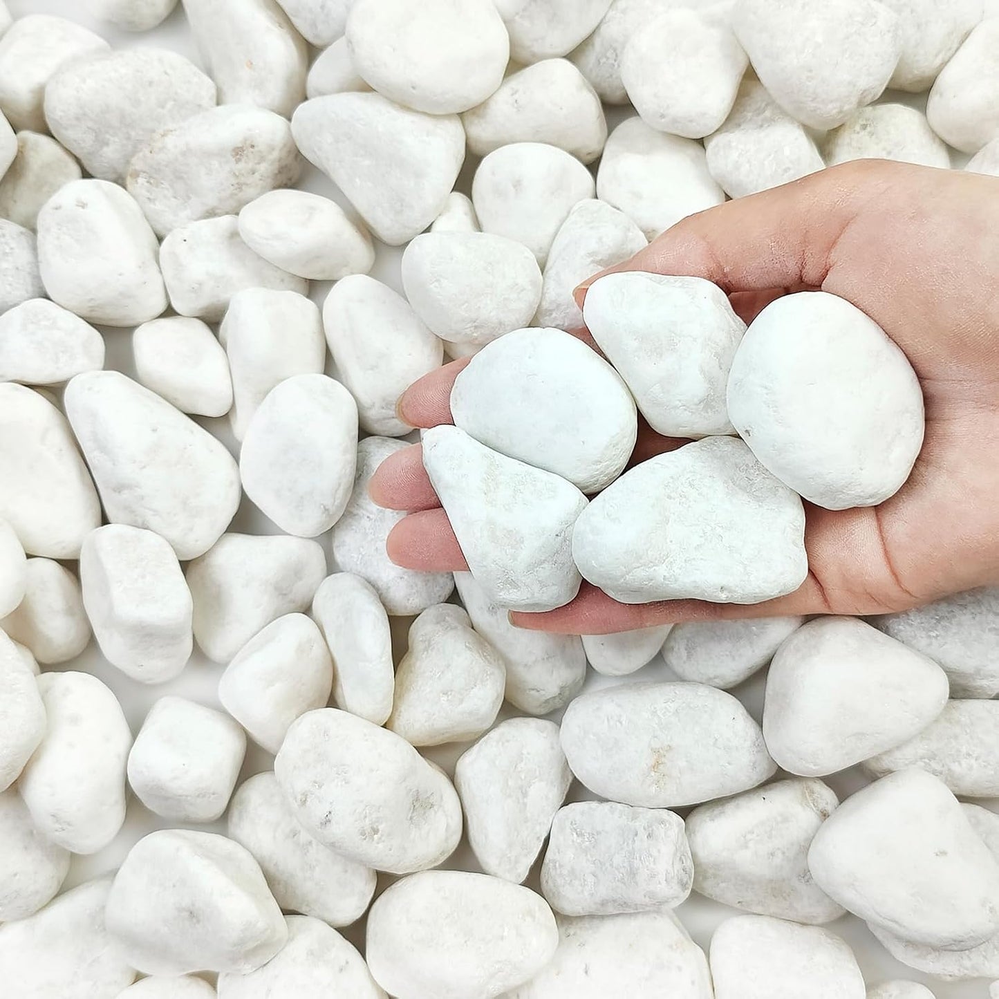 20 lbs White Stones for Landscaping and Indoor Decor
