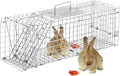 Live Animal Trap for Cats and Small Wildlife - Foldable 24in Steel