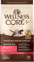 Wellness CORE+ Digestive Health Salmon & Rice Cat Food - Natural