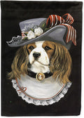 Cavalier Spaniel Stella House Flag Large Porch Sleeve - Bold Outdoor