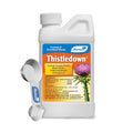 Monterey Thistledown Bundled with Measuring Spoon - Thistle & Clover