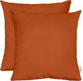 Sunbrella Square Throw Pillows Set of 2 17in x 17in - Durable Outdoor