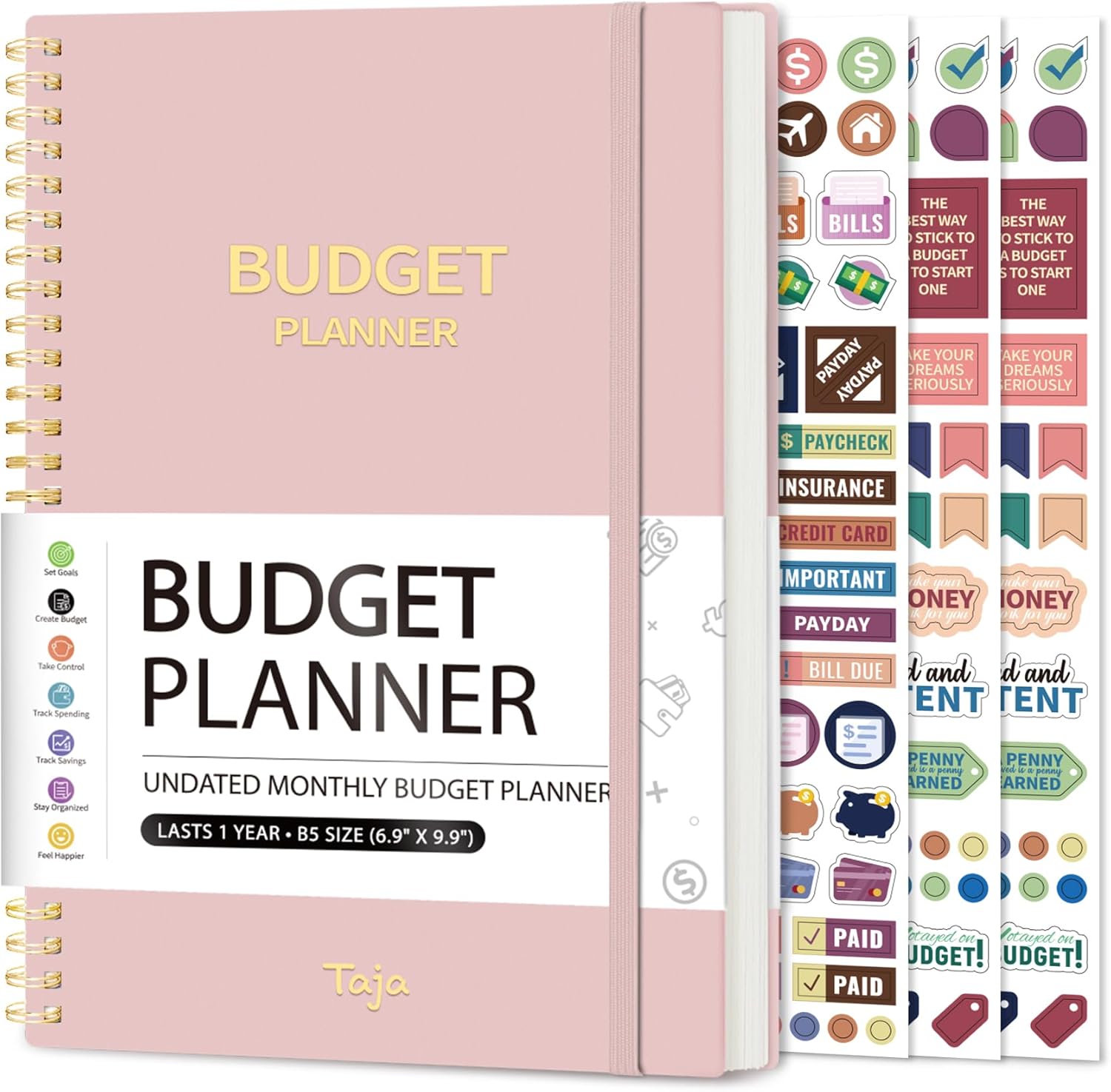 2024-2025 Pink Budget Planner for Financial Control
