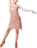 Women Salsa Latin Dance Dress Sequin Tassel Fringe Flapper Dress Neck