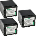 Kastar 3-Pack Battery VW-VBN260 Replacement for Panasonic Cameras