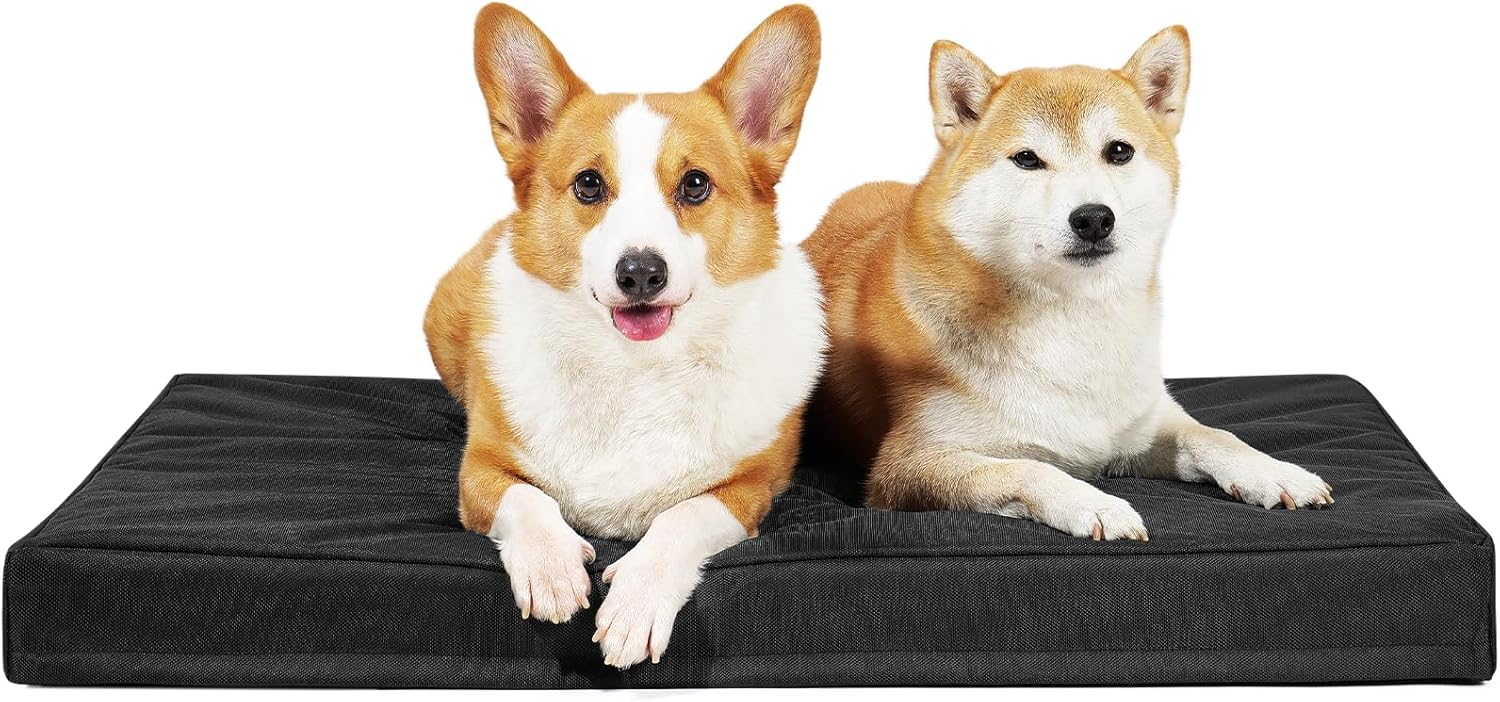 Indestructible Dog Beds for Large Dogs with Orthopedic Foam