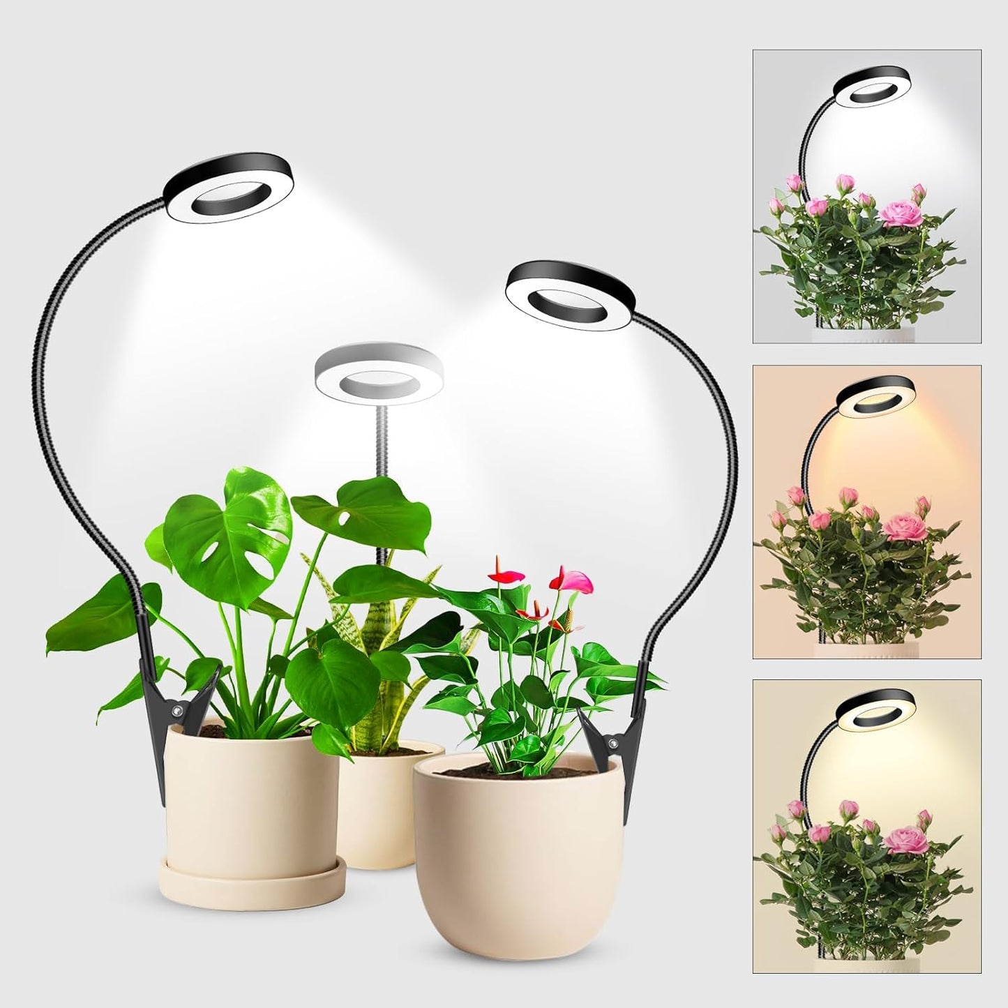 Wolezek 2 in 1 Grow Lights for Indoor Plants with Timer