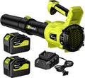 Leaf Blower Cordless 2 x 21V 6.0Ah Batteries - Powerful 650CFM