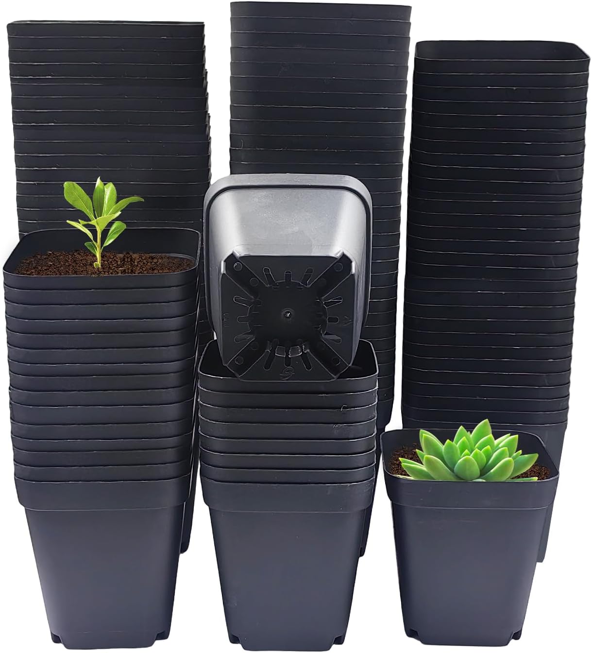 Square Nursery Pots 3 Inch for Seedlings and Succulents