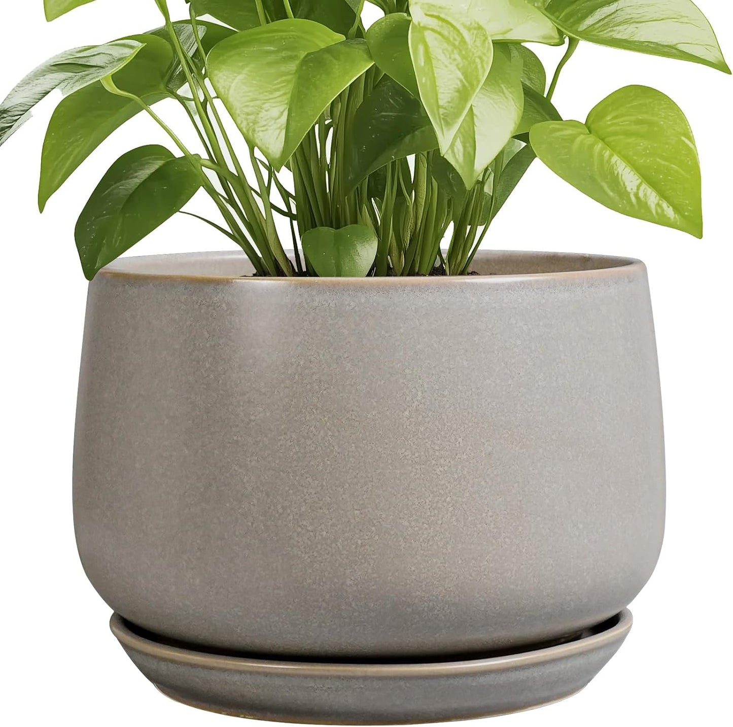 Stylish 9 Inch Ceramic Planter with Drainage for Indoor Outdoor Use