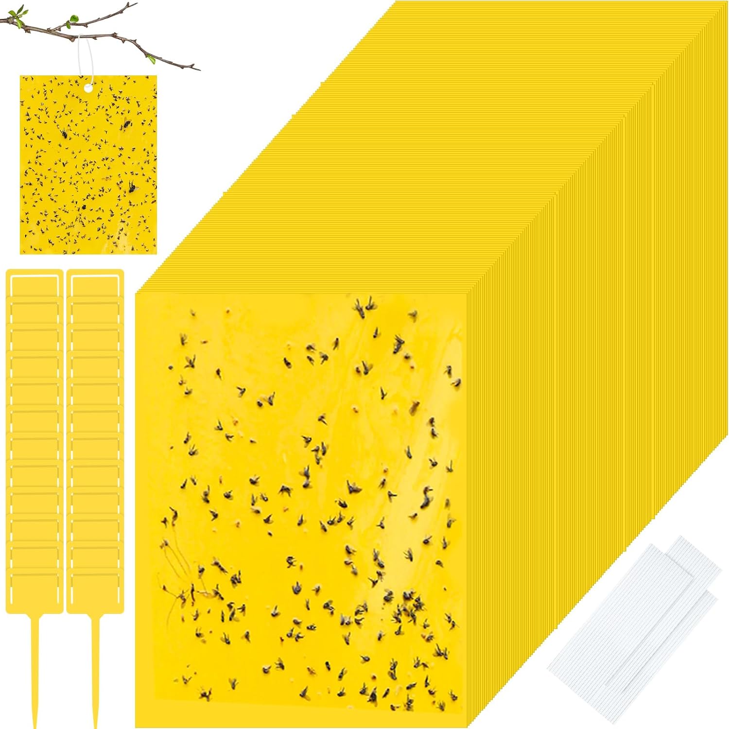 Qualirey 200 Pcs Sticky Traps for Gnats - Dual Sided