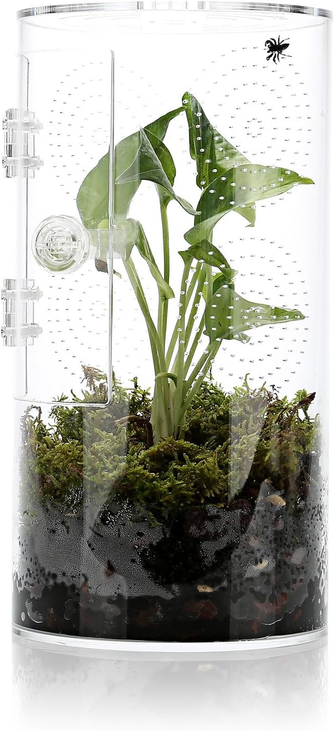 Jumping Spider Enclosure with Front Opening Door for Pets
