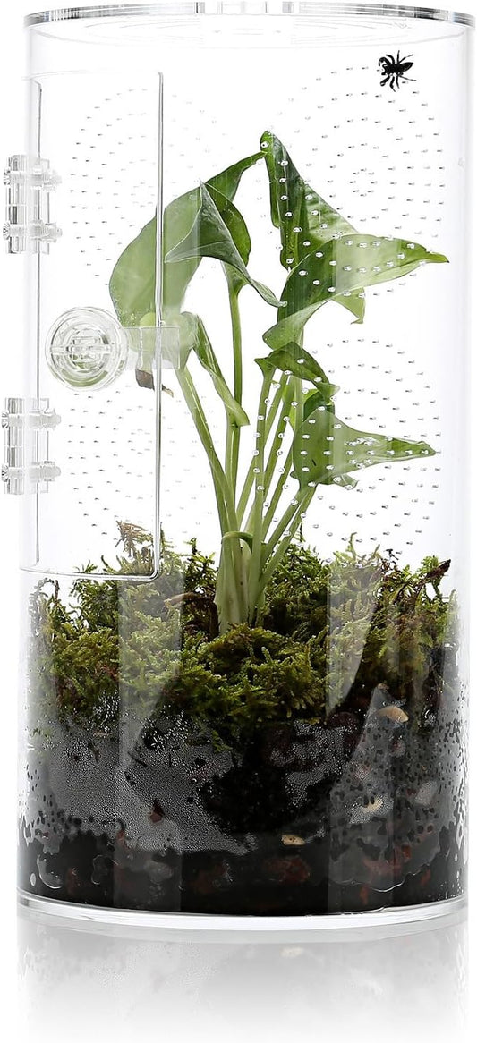 Jumping Spider Enclosure with Front Opening Door for Pets