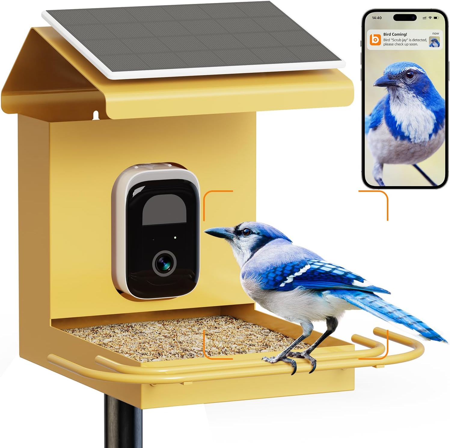 Bilantan Smart Bird Feeder: Solar Powered AI Camera, 2.5K Motion Capture