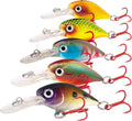 XBLACK Fishing Lures Set 5PCS - Versatile Minnow, Crankbait & Popper