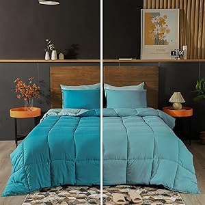 KASENTEX All Season Quilted Comforter Set for Cozy Sleep