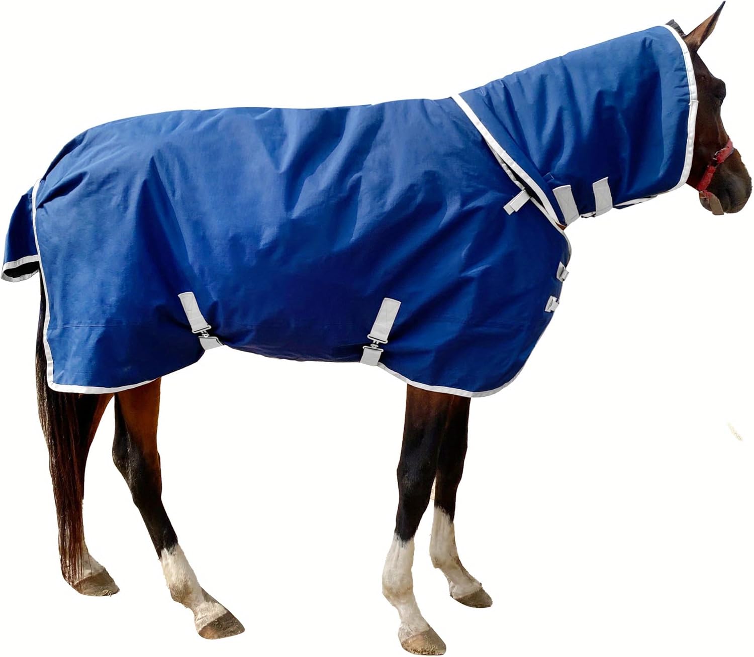 Waterproof Heavy Winter Horse Blanket | Warm & Detachable Neck | 155CM