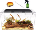 Reptile Terrarium 10 Gallon 20in x 10in x 11in - Versatile Small