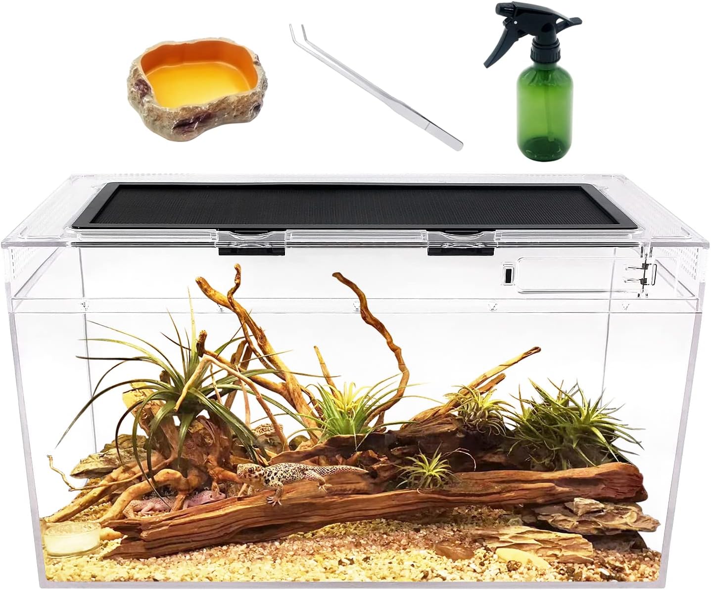 Reptile Terrarium for Bearded Dragon, Iguana, and More Pets