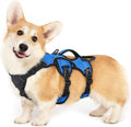 Escape Proof Dog Harness for Large Dogs by rabbitgoo - Blue