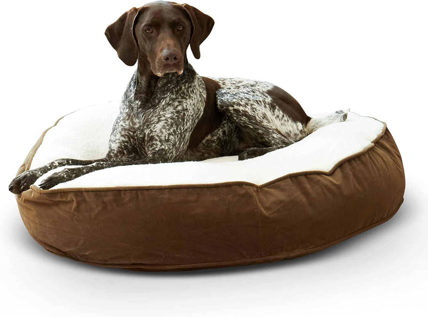 Happy Hounds Scout Deluxe Round Pillow Style Dog Bed Review