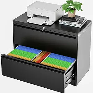 Pataku Lateral File Cabinet - Durable 2 Drawer Metal Storage