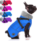 Doglay Reflective Waterproof Dog Coat with Detachable Harness - Warm