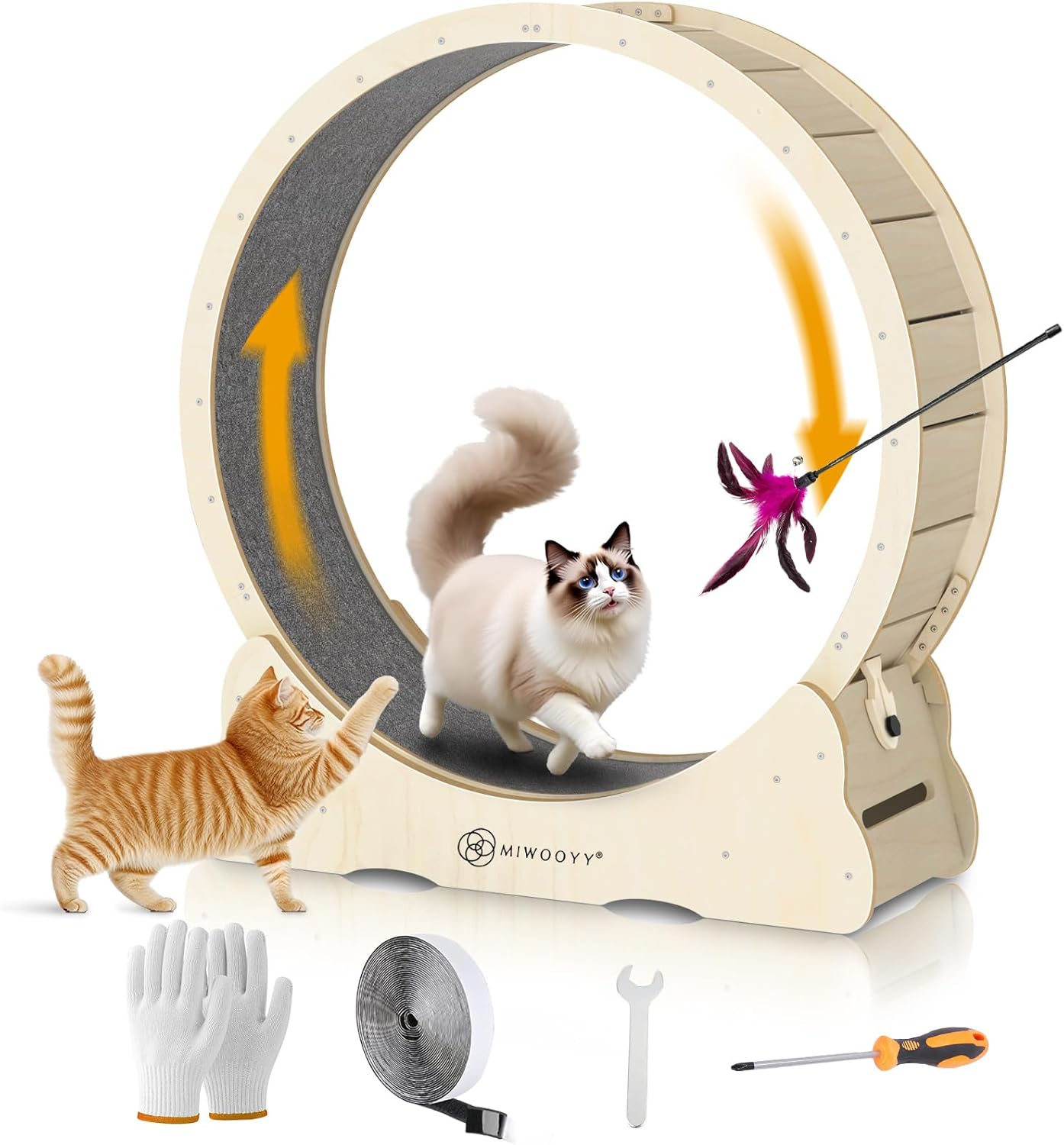 Large Cat Exercise Wheel for Indoor Cats - Safe & Fun Treadmill