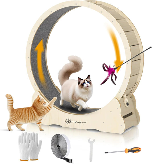 Large Cat Exercise Wheel for Indoor Cats - Safe & Fun Treadmill