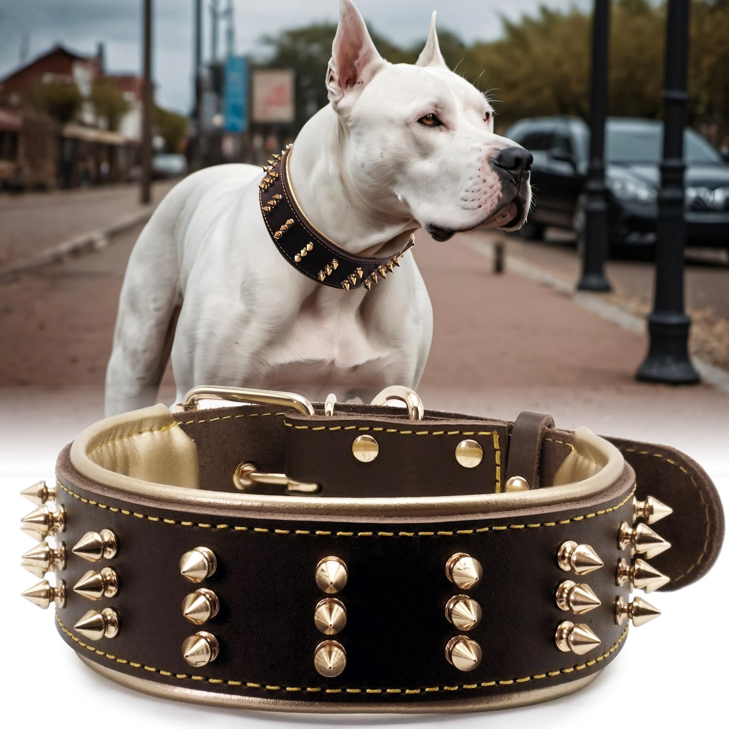 Spiked Leather Dog Collar for Powerful Breeds, Bold Design