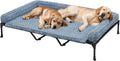 Cooling Elevated Dog Bed with Removable Rose Bolster - Jumbo 59in x