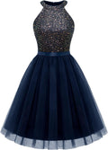 Dressystar Women's Elegant Halter Dress for Festive Celebrations