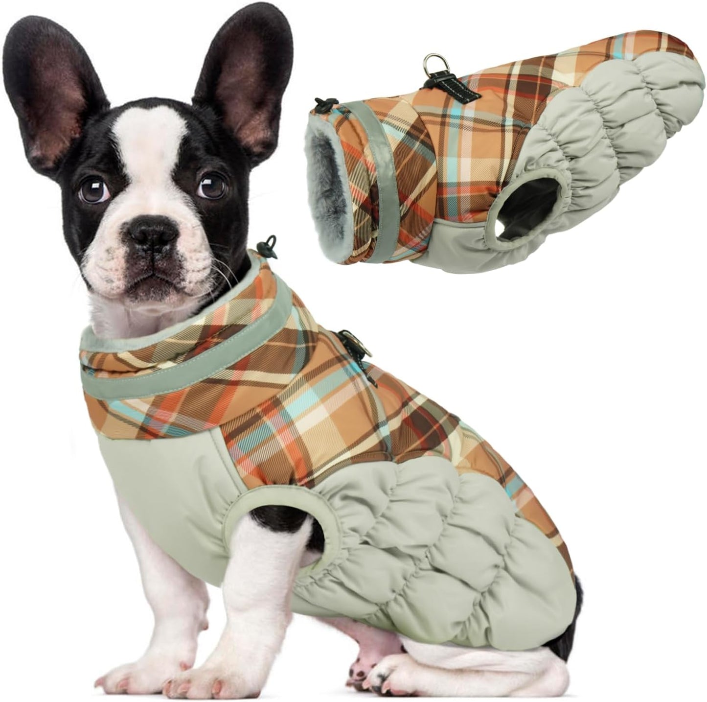 Lelepet Warm Dog Winter Coat for Medium Dogs - Waterproof Jacket