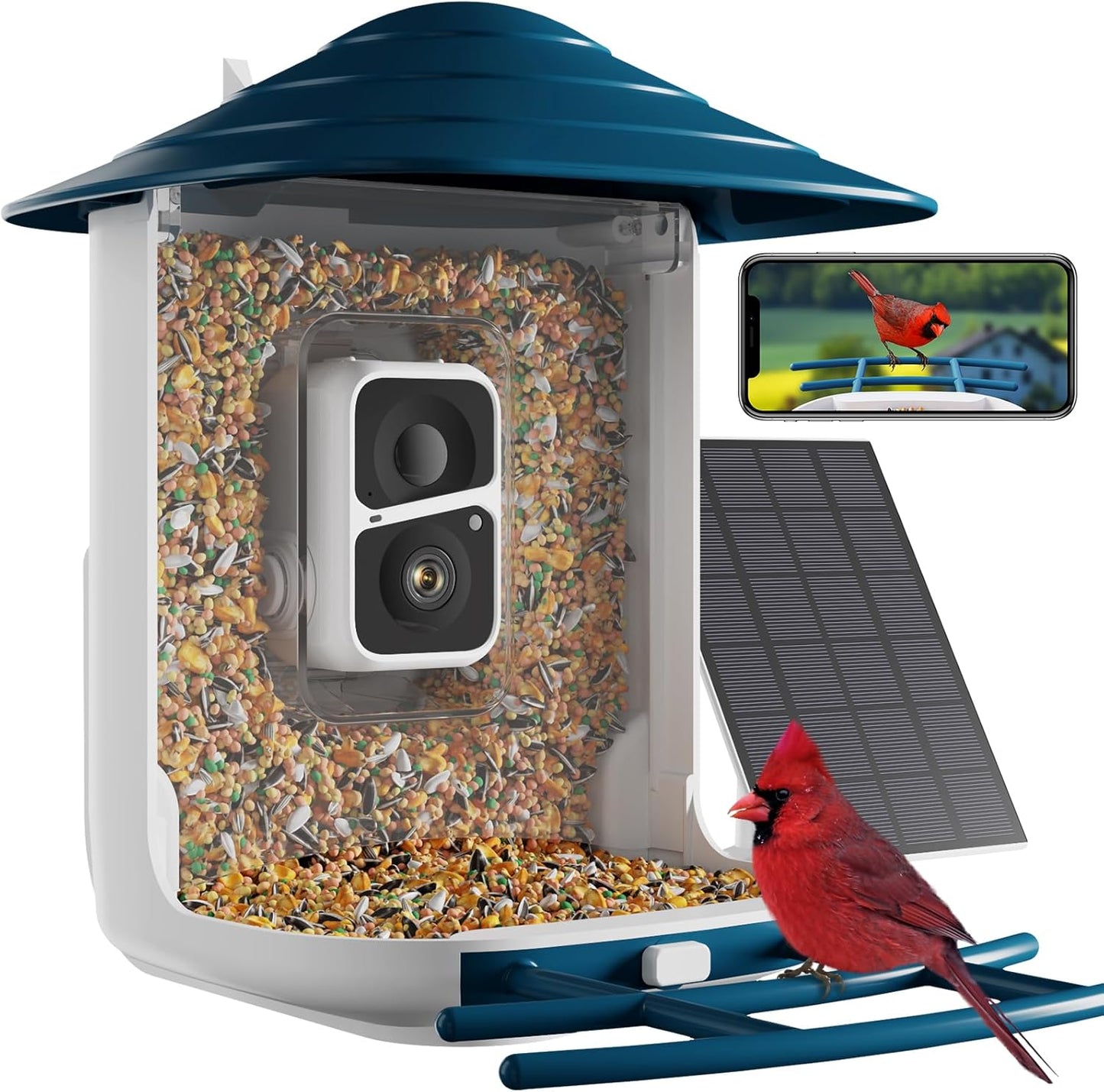 Dzees Smart Bird Feeder with Camera for Easy Birdwatching Fun